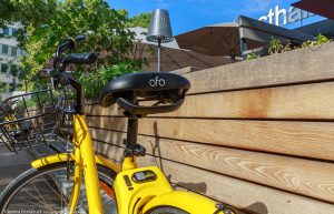 ofo